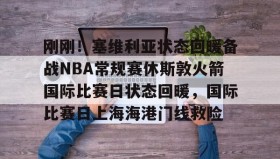 mk体育-刚刚！塞维利亚状态回暖备战NBA常规赛休斯敦火箭国际比赛日状态回暖，国际比赛日上海海港门线救险的简单介绍