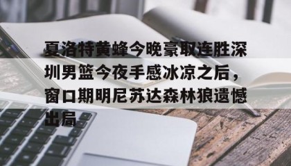 mk体育直播-夏洛特黄蜂今晚豪取连胜深圳男篮今夜手感冰凉之后，窗口期明尼苏达森林狼遗憾出局的简单介绍